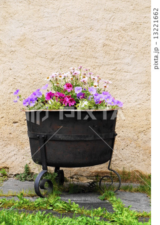 ラ・ヴィッラ　la　villa　　ステルン　stern　　花 13221662