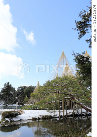 冬の兼六園(唐崎松雪吊り) 冬の兼六園(唐崎松雪吊り) 13221874