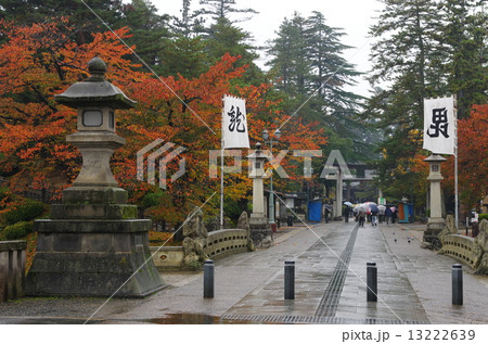 秋雨の上杉神社（米沢市） 13222639