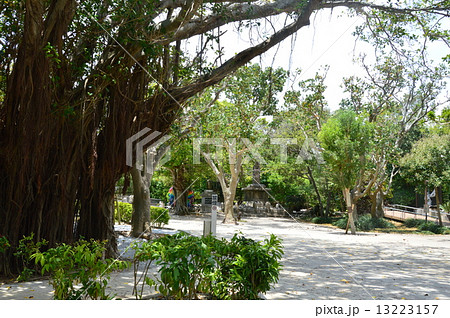 ひめゆりの塔(沖縄県糸満市字伊原) ひめゆりの塔(沖縄県糸満市字伊原) 13223157