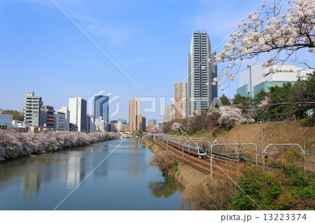 東京 外濠公園の桜 東京 外濠公園の桜 13223374