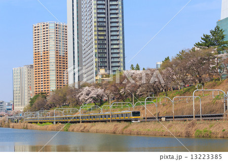 東京 外濠公園の桜 東京 外濠公園の桜 13223385
