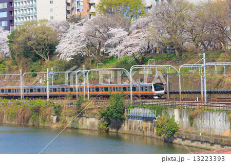 東京 外濠公園の桜の写真素材