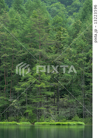 御射鹿池 御射鹿池 13223596