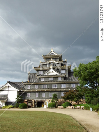 薄曇りの岡山城(縦位置） 13223747