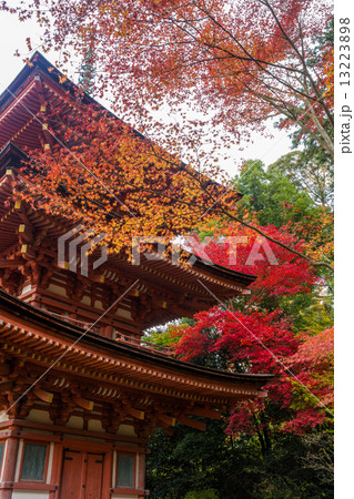 浄瑠璃寺　三重塔と紅葉（縦位置　近景） 13223898