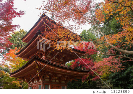 浄瑠璃寺　三重塔と紅葉（横位置　近景） 13223899