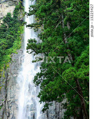 那智の滝 13225427