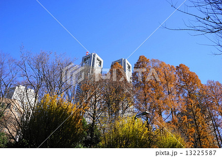 12月　都市の風景・街並み623新宿中央公園の紅葉 13225587