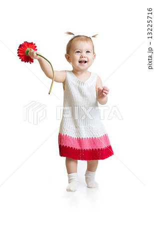 Adorable baby girl walking with flower isolated Adorable baby girl walking with flower isolated 13225716