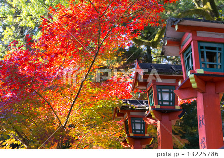 紅葉の今宮神社 紅葉の今宮神社 13225786