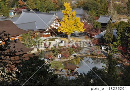 盛秋の永保寺 盛秋の永保寺 13226294
