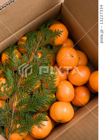 みかん箱 13227334