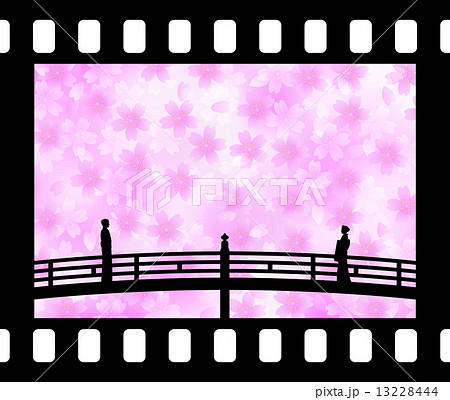 出会い桜 Encounter Sakura 出会い桜 Encounter Sakura 13228444