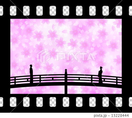 出会い桜 Encounter Sakura 出会い桜 Encounter Sakura 13228444