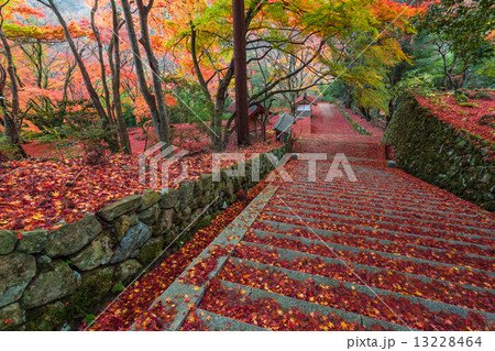 晩秋の鰐淵寺 13228464