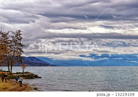 Quay of Geneva lake in Lausanne in stormy weather 13229109