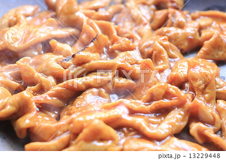 ホルモン ホルモン 13229448