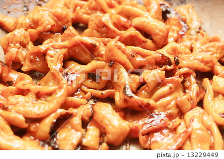 ホルモン 13229449