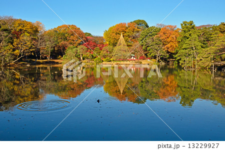 六義園・大泉水と吹上浜 13229927