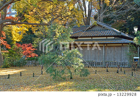 六義園・心泉亭 六義園・心泉亭 13229928