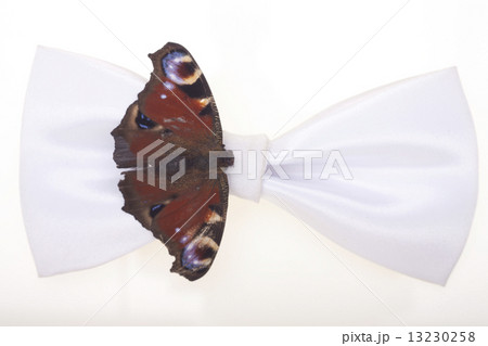 a white bow-tie on white background 13230258