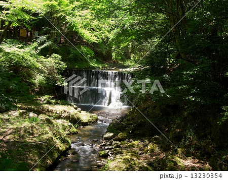 京都貴船川 13230354