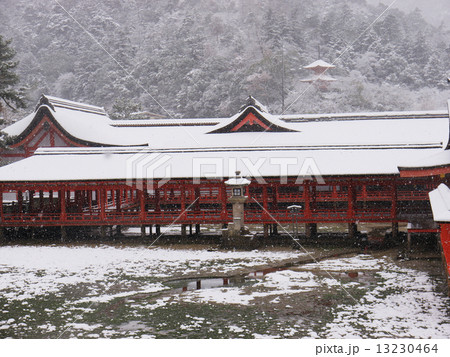 雪景色の厳島神社 雪景色の厳島神社 13230464