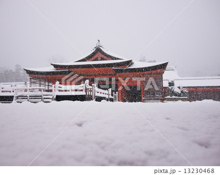 雪景色の厳島神社 13230468
