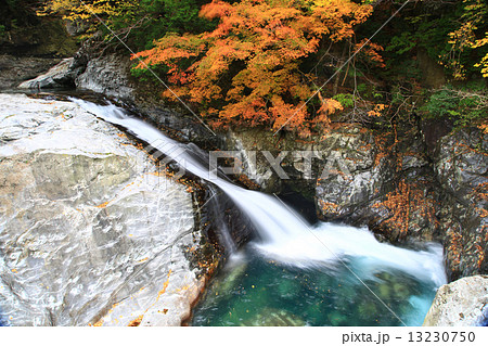 みたらい渓谷 紅葉 奈良県 天川村の写真素材