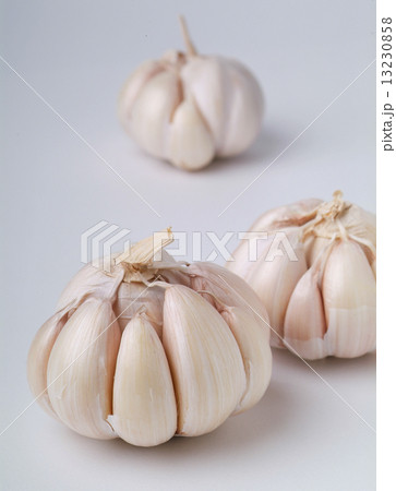 garlic on the background garlic on the background 13230858