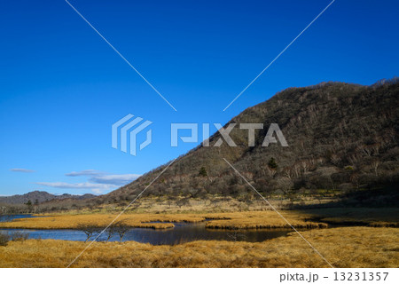 草紅葉の覚満淵 草紅葉の覚満淵 13231357