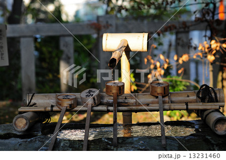 神社の手水舎-3 13231460