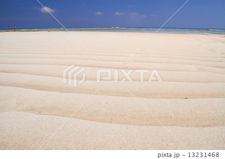 百合ヶ浜（与論島） 13231468