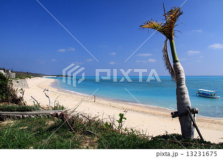 大金久海岸（百合ヶ浜） 13231675