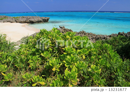 寺崎海岸(与論島) 寺崎海岸(与論島) 13231677