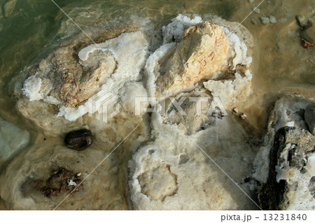 イスラエル 死海 イスラエル 死海 13231840