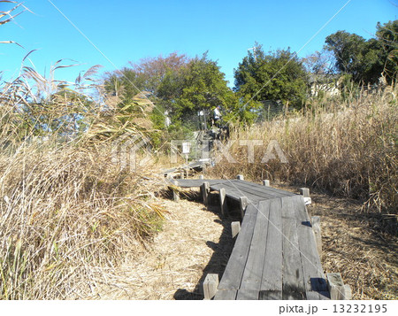 谷津干潟公園の観察用木道 谷津干潟公園の観察用木道 13232195