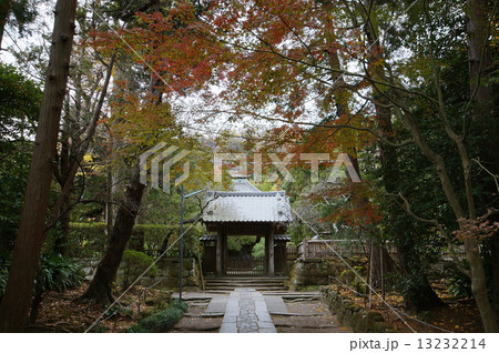 鎌倉五山 寿福寺 中門 & 参道 ( 神奈川県 鎌倉市 扇ヶ谷 ) 鎌倉五山 寿福寺 中門 & 参道 ( 神奈川県 鎌倉市 扇ヶ谷 ) 13232214