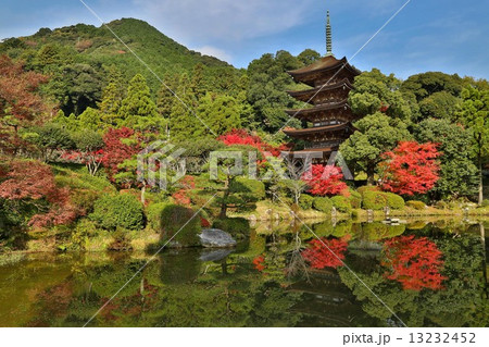 秋の瑠璃光寺五重塔 13232452