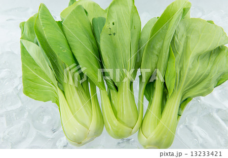 Bok Choy on ice 13233421