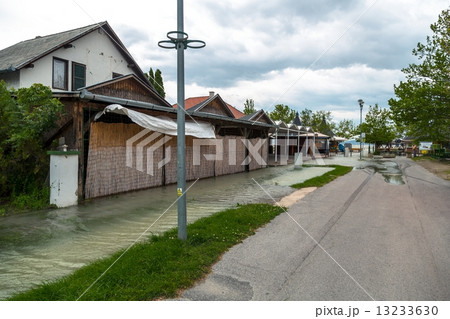 Flooded terrain in Balaton 13233630