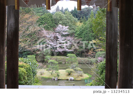 円成寺 円成寺 13234513