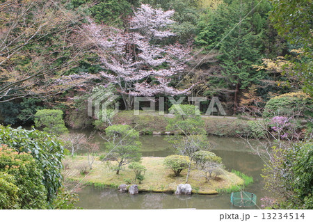 円成寺 13234514