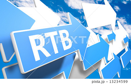 Real Time Bidding 13234599