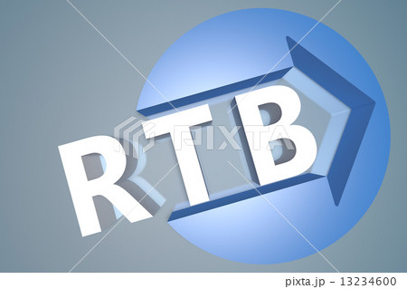 Real Time Bidding 13234600