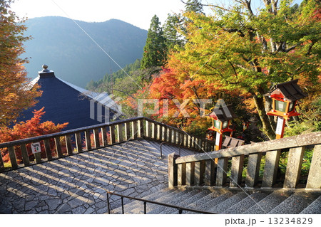 京都 秋の鞍馬寺 京都 秋の鞍馬寺 13234829