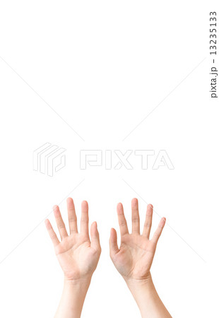 手 13235133
