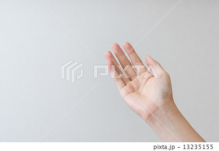 手 13235155