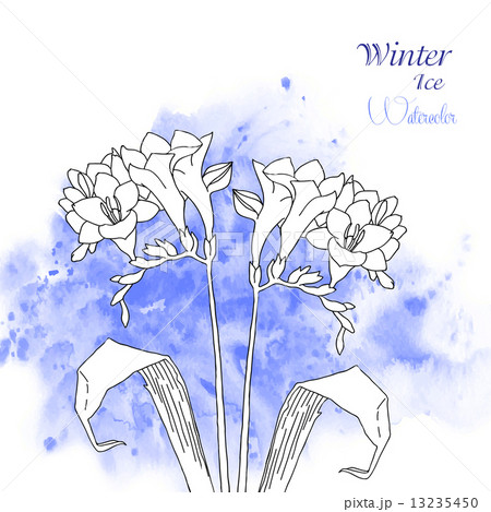 Background  with watercolors and flowers-05 13235450
